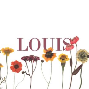 kaartje Louis